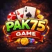 Pak75 Game APK LOGO